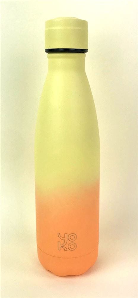 BOUTEILLE SORBET CITRON 500ML/8544