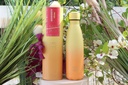 BOUTEILLE SORBET CITRON 500ML/8544