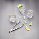 ICE BUCKET AND TONG SET