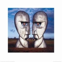 PINK FLOYD - THE DIVISION BELL (ART PRINT)