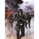 STAR WARS ROGUE ONE - DEATH TROOPER BEACH (CANVASS PRINT)