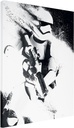 STAR WARS EPISODE VII - STORMTROOPER PAINT (CANVASS PRINT)