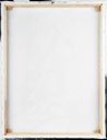 STAR WARS EPISODE VII - STORMTROOPER PAINT (CANVASS PRINT)