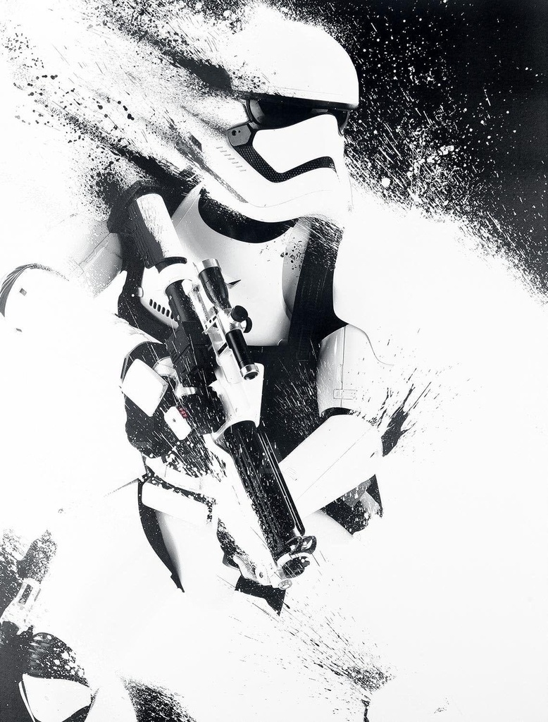 STAR WARS EPISODE VII - STORMTROOPER PAINT (CANVASS PRINT)