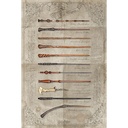 HARRY POTTER - THE WAND CHOOSES THE WIZARD (MAXI POSTERS)