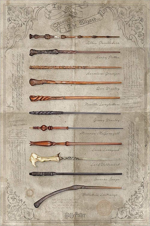 HARRY POTTER - THE WAND CHOOSES THE WIZARD (MAXI POSTERS)