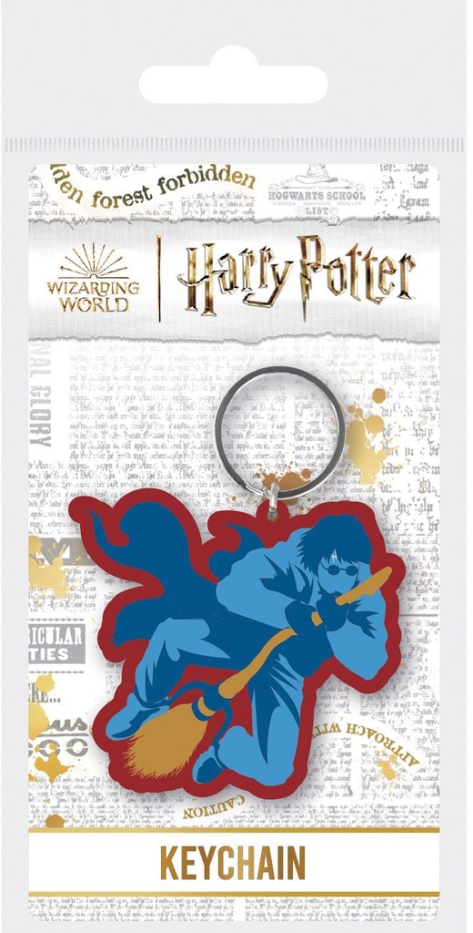 HARRY POTTER - CHECKMATE HARRY BROOM (PVC KEYCHAIN)