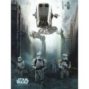 STAR WARS ROGUE ONE - STORMTROOPER PATROL (CANVASS PRINT)