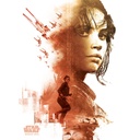 STAR WARS ROGUE ONE - JYN RED (CANVASS PRINT)