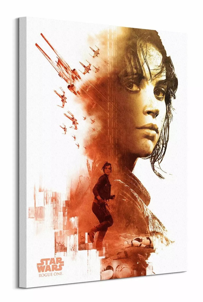 STAR WARS ROGUE ONE - JYN RED (CANVASS PRINT)