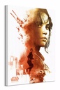 STAR WARS ROGUE ONE - JYN RED (CANVASS PRINT)