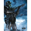 STAR WARS ROGUE ONE - DEATH TROOPER RAIN (CANVASS PRINT)