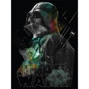STAR WARS ROGUE ONE - DARTH VADER LINES (CANVASS PRINT)