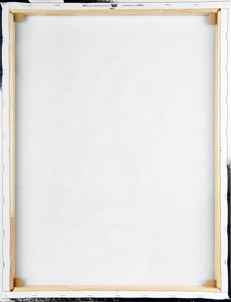 STAR WARS EPISODE VII - STORMTROOPER PAINT (CANVASS PRINT)