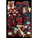 DEADPOOL - PANELS (MAXI POSTER)