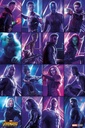 AVENGERS - INFINITY WAR HEROES (MAXI POSTER)