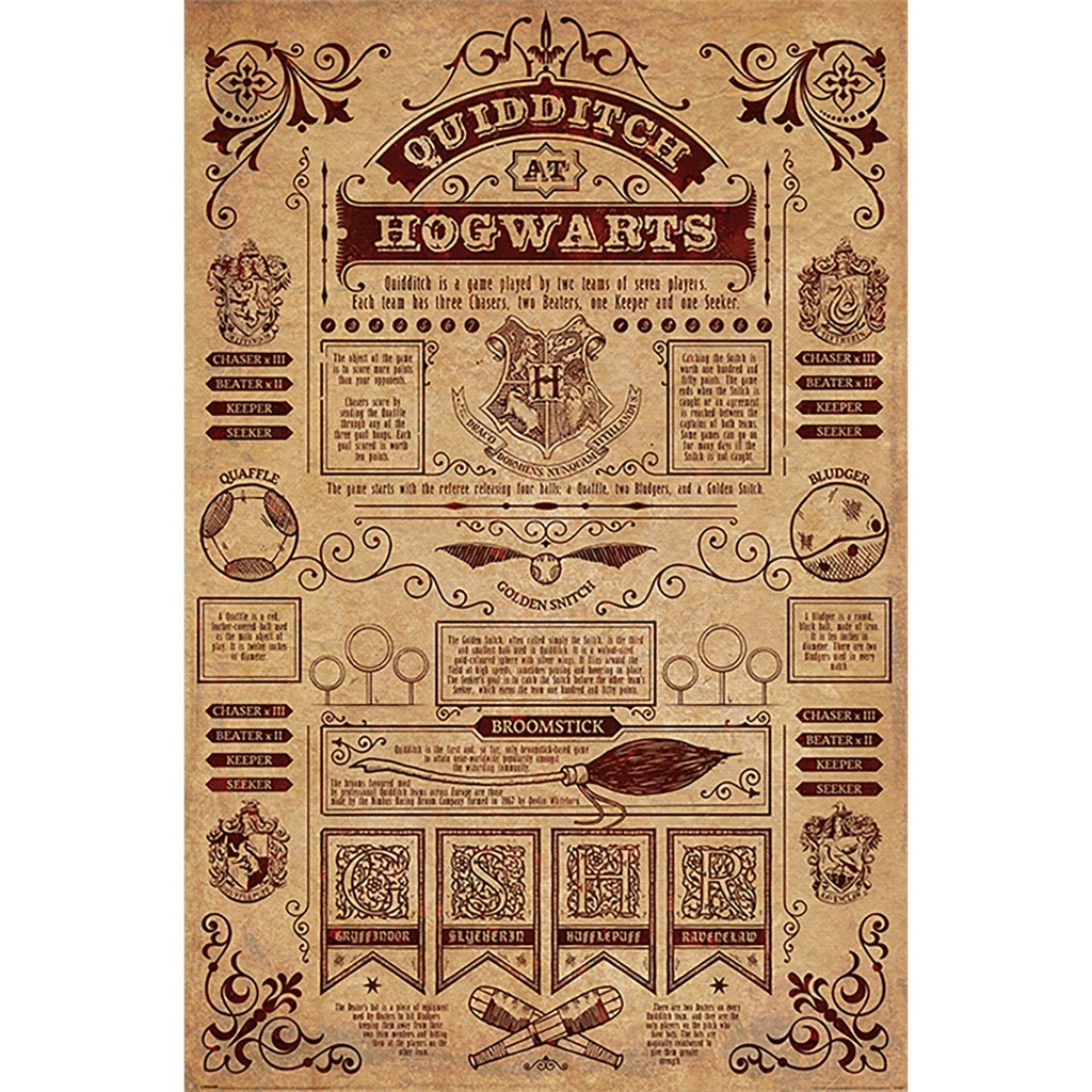 HARRY POTTER - QUIDDITCH AT HOGWARTS (MAXI POSTERS)