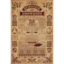 HARRY POTTER - QUIDDITCH AT HOGWARTS (MAXI POSTERS)