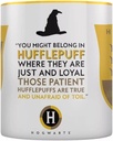 HARRY POTTER - HUFFLEPUFF HOUSE PRIDE YELLOW INNER C (MUG)