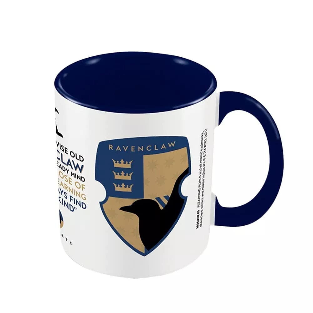 HARRY POTTER - RAVENCLAW HOUSE PRIDE BLUE (MUG)