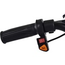 Electric Scooter Drift Trike, remote key,3 speed, 11-25km/h,36V- 350W,Tier 8" White