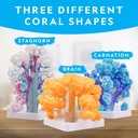 NG Crystal Reef Coral GrowiNG Lab
