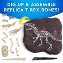 NG Tyrannosaurus Rex Dig Kit