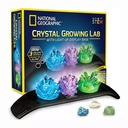 NG Light Up Crystal GrowiNG Lab