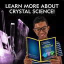 NG Light Up Crystal GrowiNG Lab