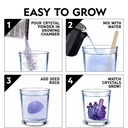 NG Light Up Crystal GrowiNG Lab