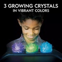 NG Light Up Crystal GrowiNG Lab