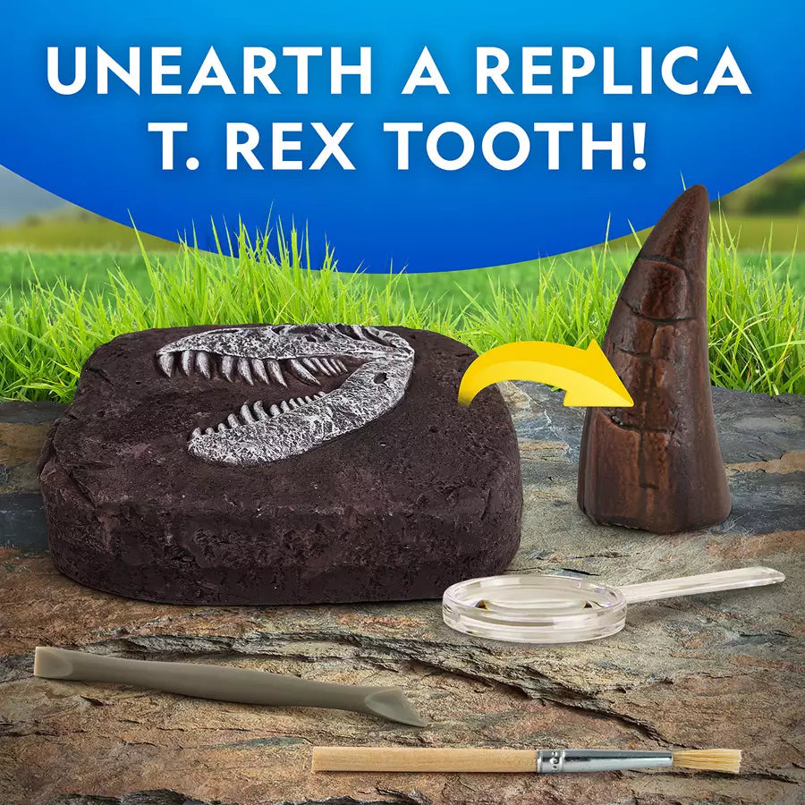 NG Dino Fossil Dig Kit