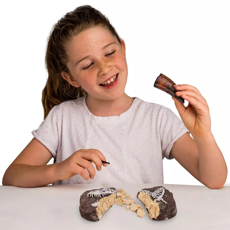 NG Dino Fossil Dig Kit