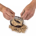 NG Dino Fossil Dig Kit