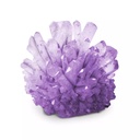 NG Purple Crystal Lab