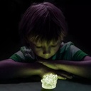 NG Glow-In-The-Dark Crystal Lab