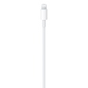 Apple USB C to lightning Cable 1m