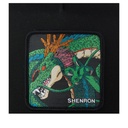 Shenron