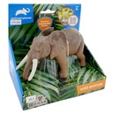 1 pcs elephant in open touch box