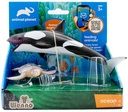 2 pcs killer whale and turtle in open touch box