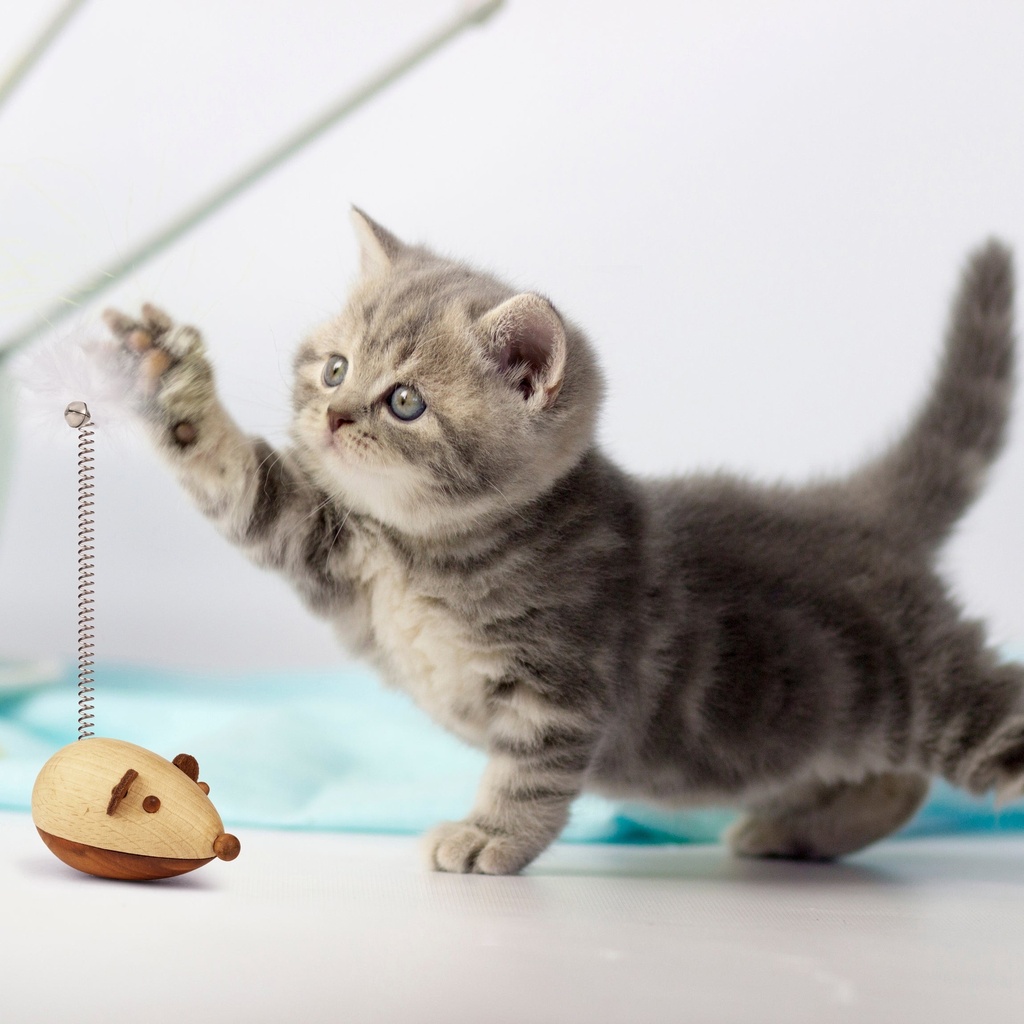 Cat Mouse Toy