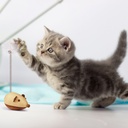 Cat Mouse Toy