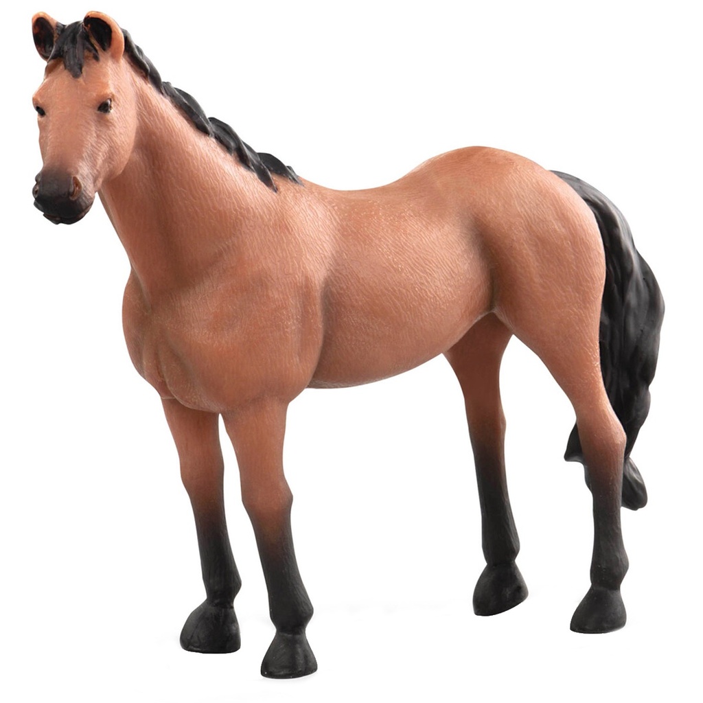 THOROUGHBRED HORSE