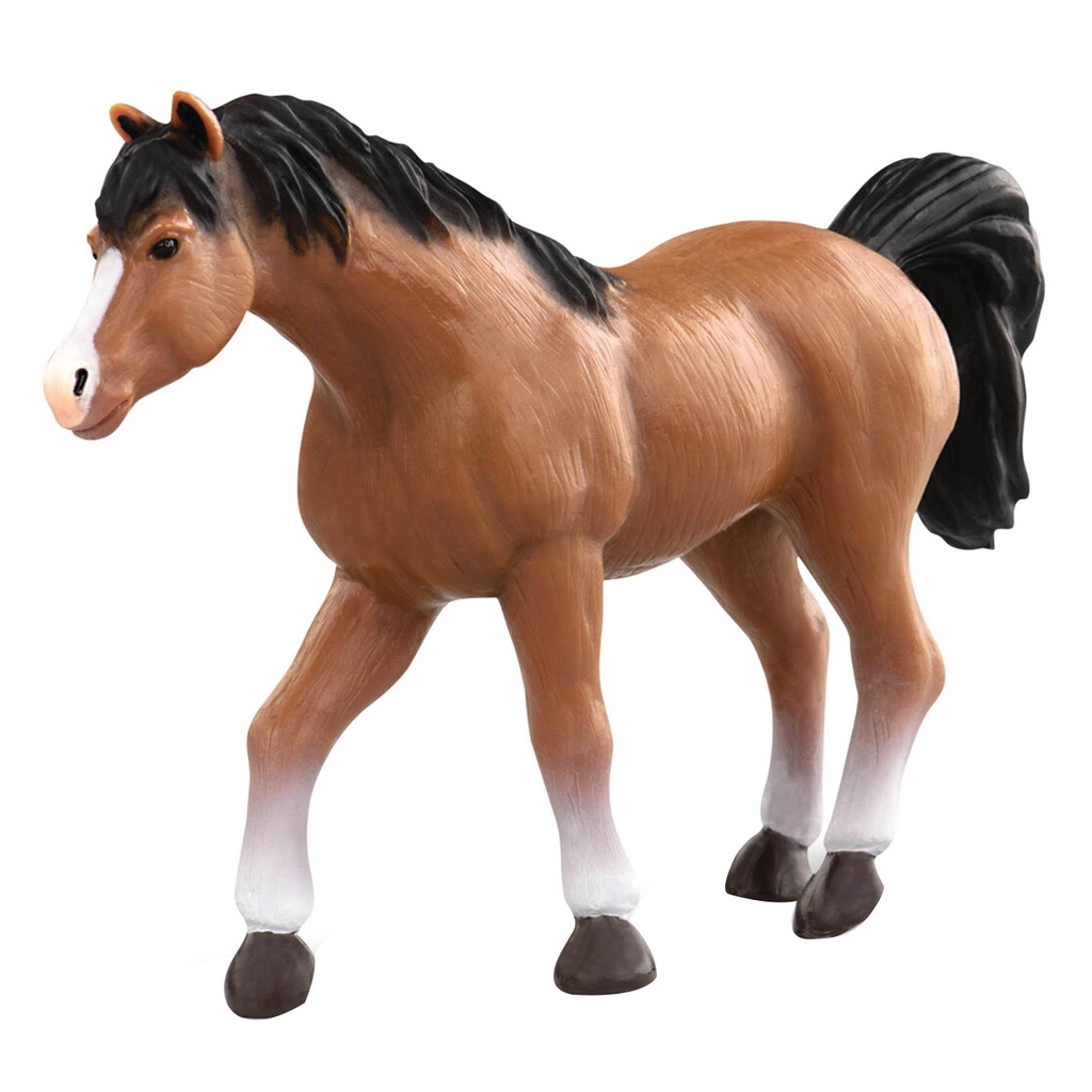ARABIAN STALLION