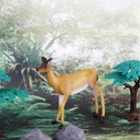 WHITE TAILED DOE