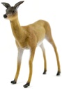 WHITE TAILED DOE