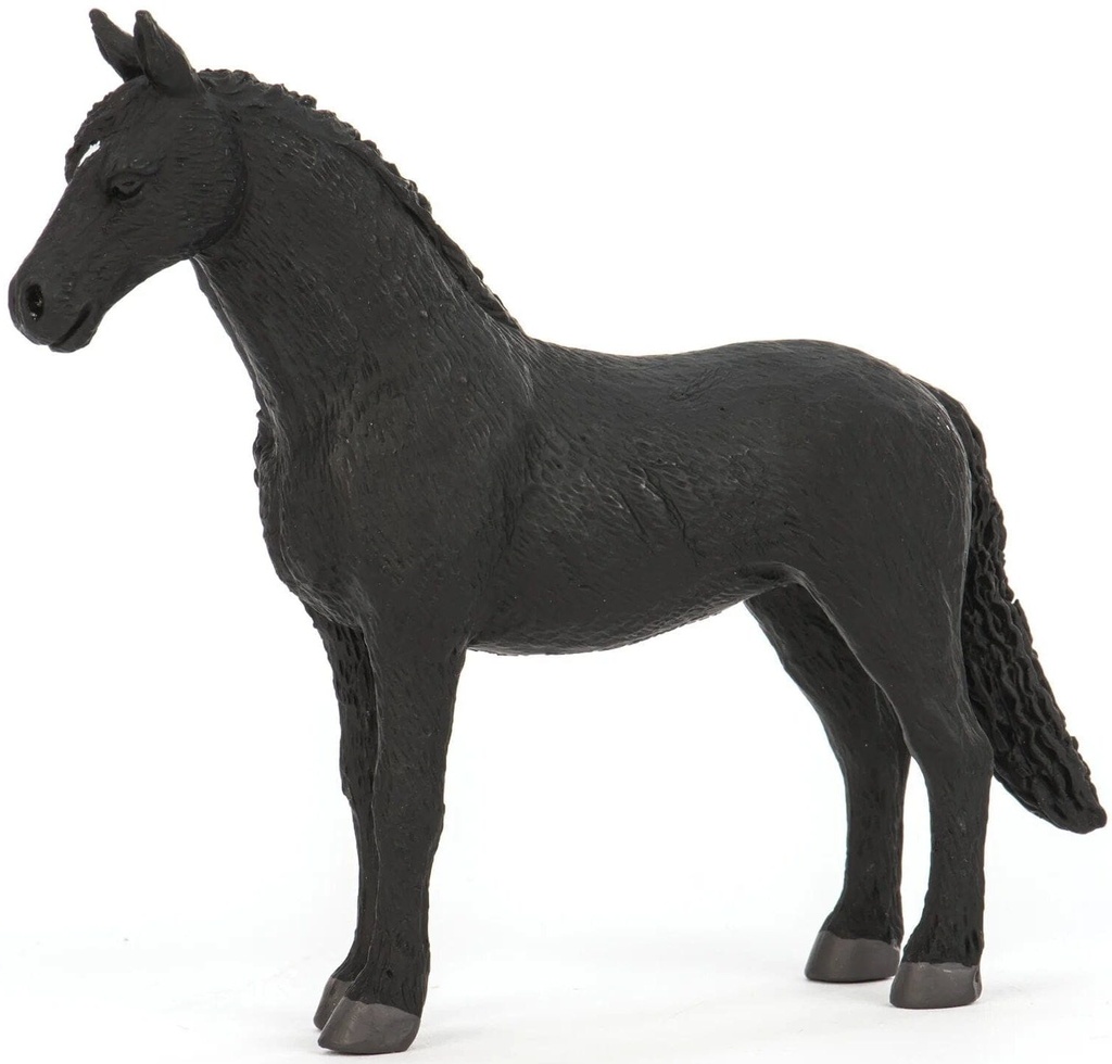 FRIESIAN
