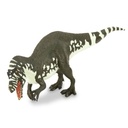ACROCANTHOSAURUS ATOKENSIS