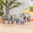 AFRICAN ELEPHANT FAMILY