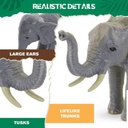 AFRICAN ELEPHANT FAMILY